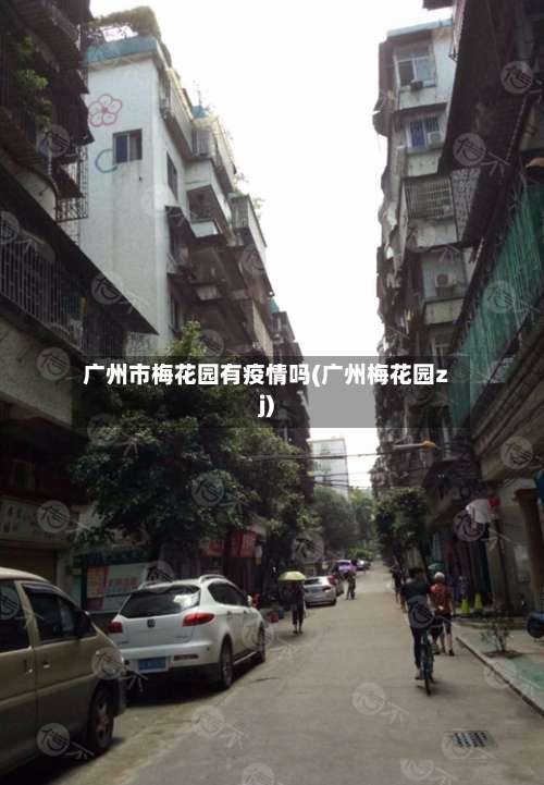 广州市梅花园有疫情吗(广州梅花园zj)
