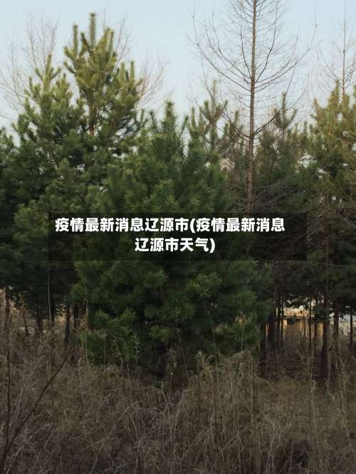 疫情最新消息辽源市(疫情最新消息辽源市天气)