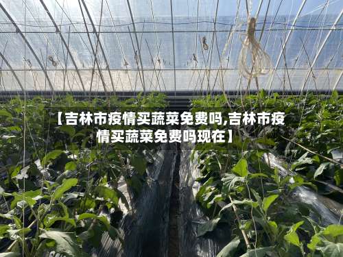 【吉林市疫情买蔬菜免费吗,吉林市疫情买蔬菜免费吗现在】-第2张图片