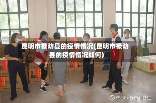 昆明市禄劝县的疫情情况(昆明市禄劝县的疫情情况如何)