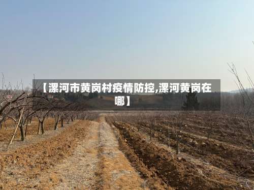 【漯河市黄岗村疫情防控,漯河黄岗在哪】-第3张图片