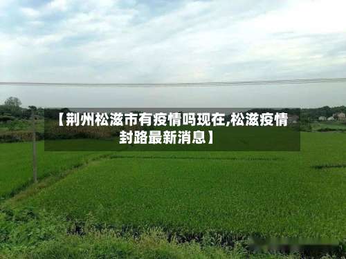 【荆州松滋市有疫情吗现在,松滋疫情封路最新消息】-第2张图片
