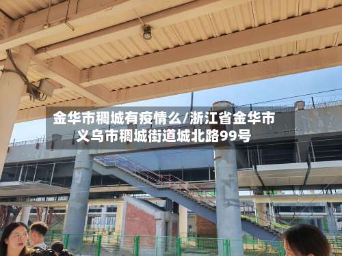 金华市稠城有疫情么/浙江省金华市义乌市稠城街道城北路99号