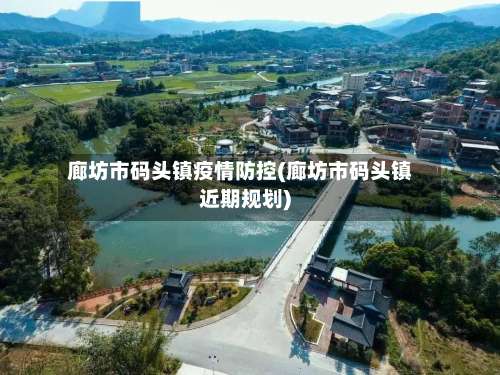 廊坊市码头镇疫情防控(廊坊市码头镇近期规划)