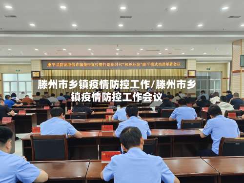 滕州市乡镇疫情防控工作/滕州市乡镇疫情防控工作会议
