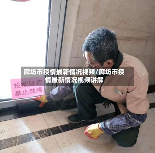 廊坊市疫情最新情况视频/廊坊市疫情最新情况视频讲解