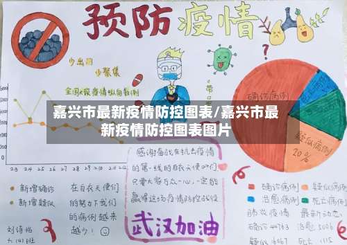 嘉兴市最新疫情防控图表/嘉兴市最新疫情防控图表图片