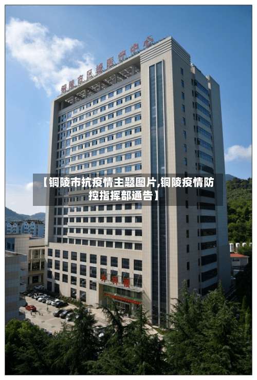 【铜陵市抗疫情主题图片,铜陵疫情防控指挥部通告】