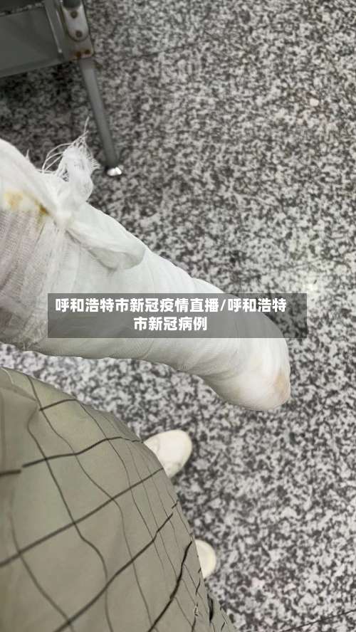 呼和浩特市新冠疫情直播/呼和浩特市新冠病例