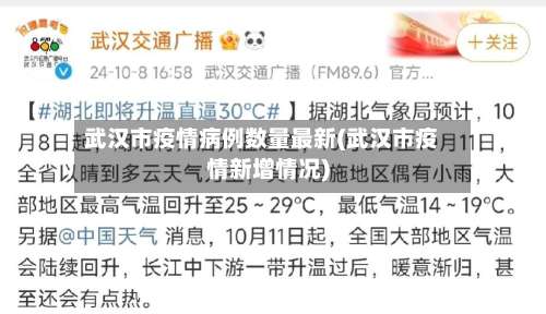 武汉市疫情病例数量最新(武汉市疫情新增情况)