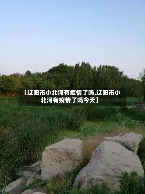 【辽阳市小北河有疫情了吗,辽阳市小北河有疫情了吗今天】-第2张图片