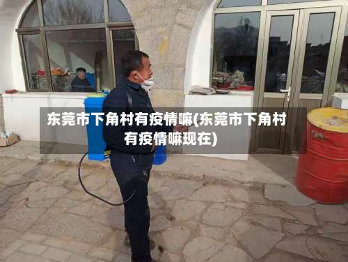 东莞市下角村有疫情嘛(东莞市下角村有疫情嘛现在)