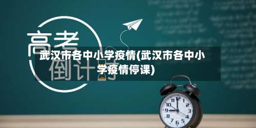 武汉市各中小学疫情(武汉市各中小学疫情停课)