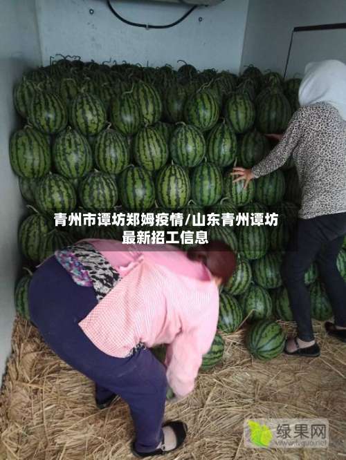 青州市谭坊郑姆疫情/山东青州谭坊最新招工信息-第2张图片