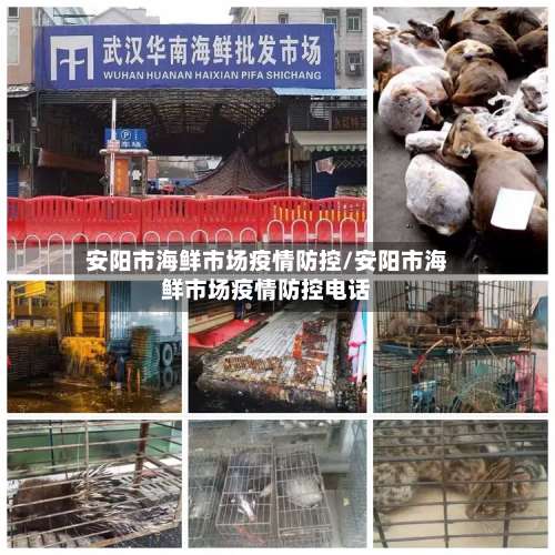 安阳市海鲜市场疫情防控/安阳市海鲜市场疫情防控电话