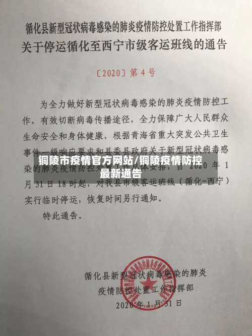 铜陵市疫情官方网站/铜陵疫情防控最新通告-第2张图片