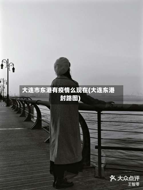 大连市东港有疫情么现在(大连东港封路图)