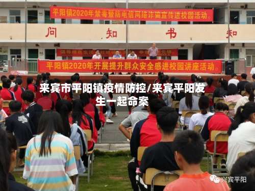 来宾市平阳镇疫情防控/来宾平阳发生一起命案-第2张图片