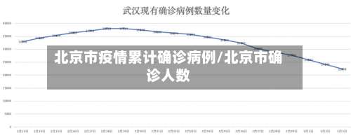 北京市疫情累计确诊病例/北京市确诊人数