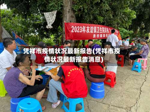凭祥市疫情状况最新报告(凭祥市疫情状况最新报告消息)