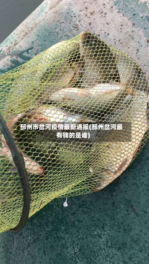 邳州市岔河疫情最新通报(邳州岔河最有钱的是谁)-第3张图片