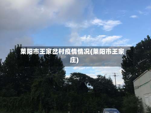 莱阳市王家岔村疫情情况(莱阳市王家庄)-第3张图片