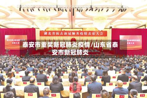 泰安市重奖新冠肺炎疫情/山东省泰安市新冠肺炎