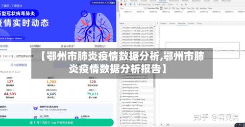 【鄂州市肺炎疫情数据分析,鄂州市肺炎疫情数据分析报告】