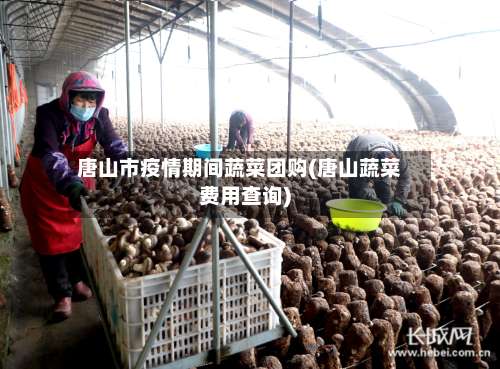 唐山市疫情期间蔬菜团购(唐山蔬菜费用查询)