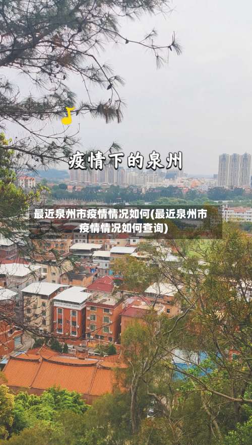 最近泉州市疫情情况如何(最近泉州市疫情情况如何查询)
