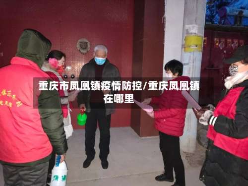 重庆市凤凰镇疫情防控/重庆凤凰镇在哪里