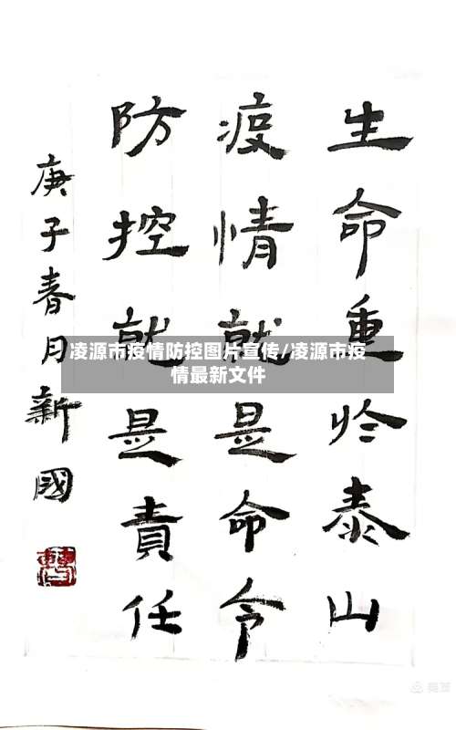 凌源市疫情防控图片宣传/凌源市疫情最新文件-第2张图片