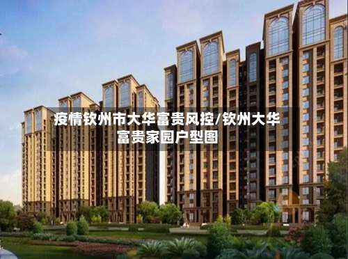 疫情钦州市大华富贵风控/钦州大华富贵家园户型图