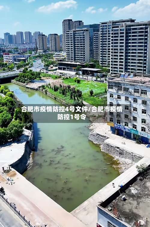 合肥市疫情防控4号文件/合肥市疫情防控1号令