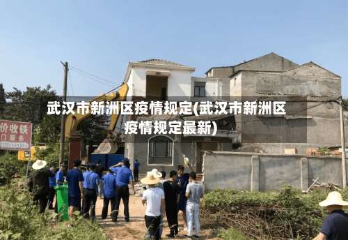武汉市新洲区疫情规定(武汉市新洲区疫情规定最新)-第2张图片