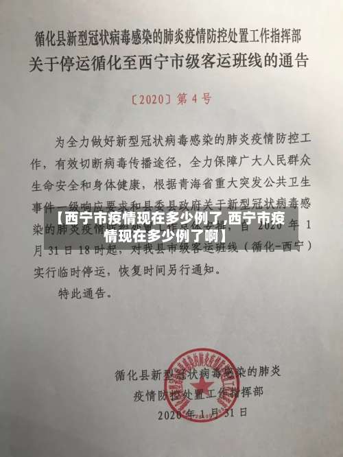 【西宁市疫情现在多少例了,西宁市疫情现在多少例了啊】