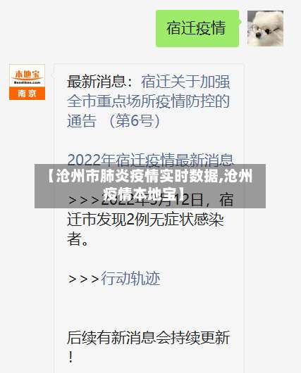 【沧州市肺炎疫情实时数据,沧州疫情本地宝】
