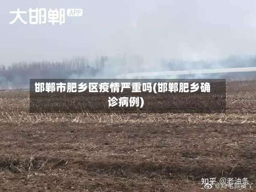 邯郸市肥乡区疫情严重吗(邯郸肥乡确诊病例)-第2张图片