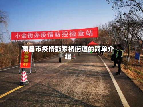 南昌市疫情彭家桥街道的简单介绍