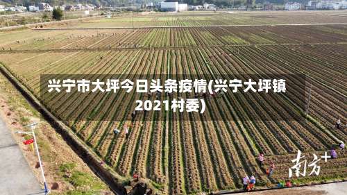 兴宁市大坪今日头条疫情(兴宁大坪镇2021村委)