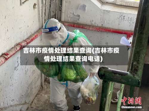 吉林市疫情处理结果查询(吉林市疫情处理结果查询电话)-第2张图片
