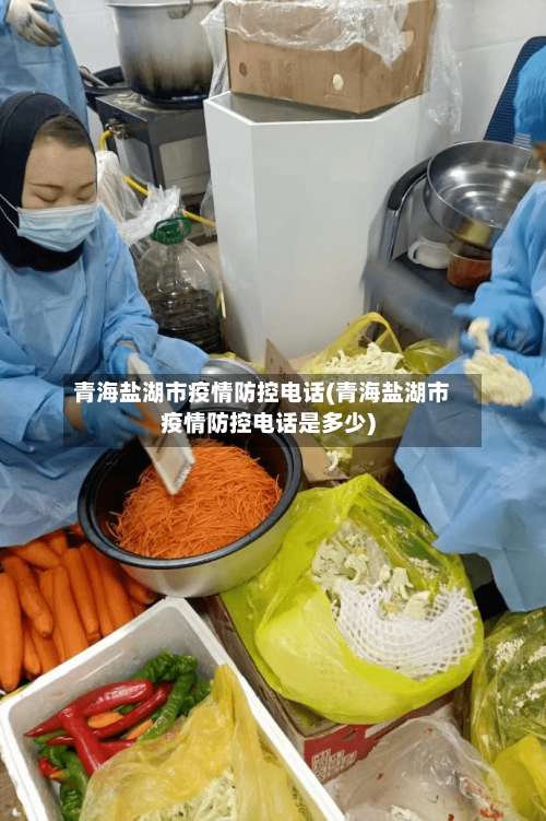 青海盐湖市疫情防控电话(青海盐湖市疫情防控电话是多少)