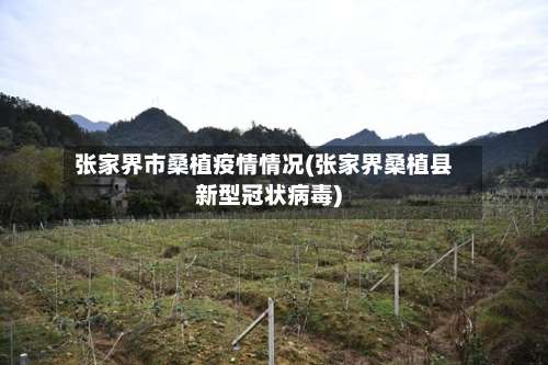 张家界市桑植疫情情况(张家界桑植县新型冠状病毒)