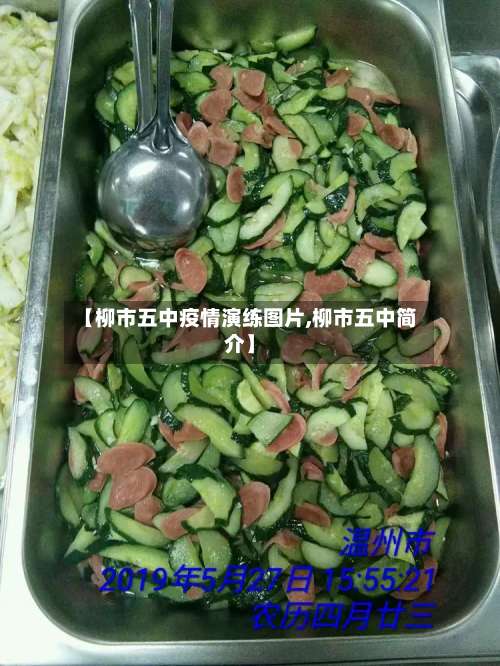 【柳市五中疫情演练图片,柳市五中简介】-第3张图片