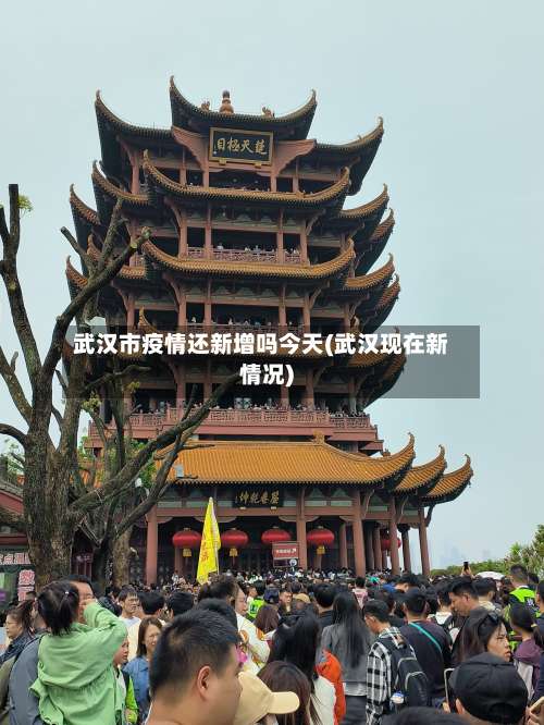 武汉市疫情还新增吗今天(武汉现在新情况)-第2张图片