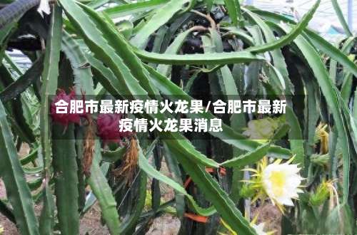 合肥市最新疫情火龙果/合肥市最新疫情火龙果消息
