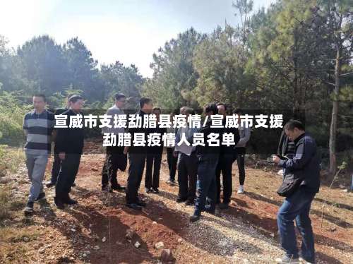 宣威市支援勐腊县疫情/宣威市支援勐腊县疫情人员名单