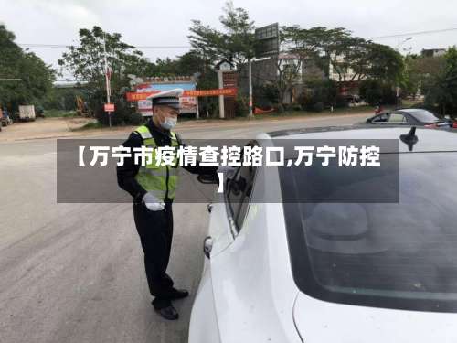 【万宁市疫情查控路口,万宁防控】