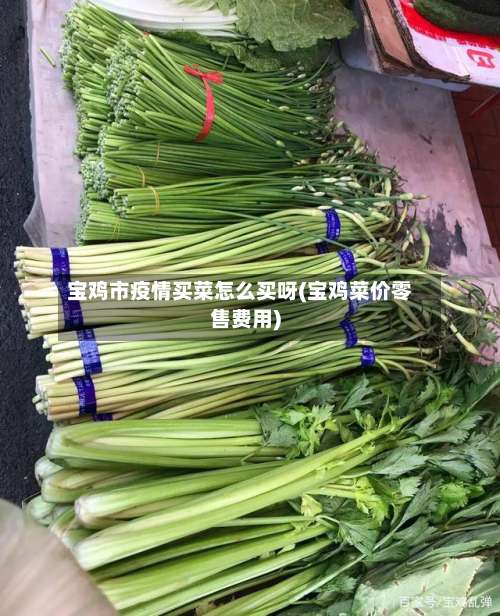 宝鸡市疫情买菜怎么买呀(宝鸡菜价零售费用)