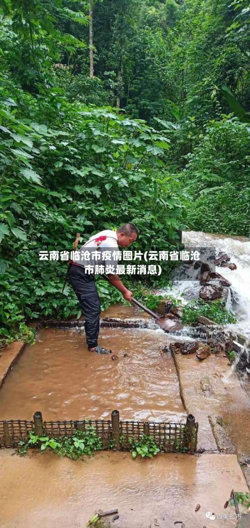 云南省临沧市疫情图片(云南省临沧市肺炎最新消息)-第3张图片